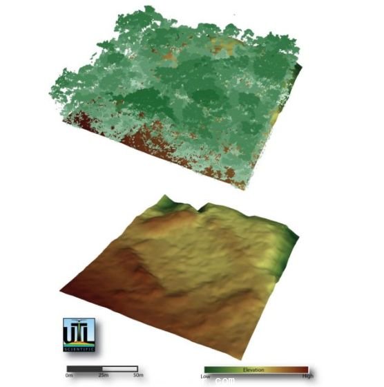 　上圖為研究人員繪制的林木線，下圖為“看穿”樹蔭后揭示的地面 